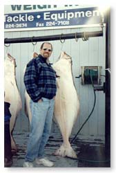Big Halibut