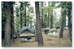 Yosemite Camping