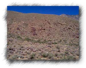 The rugged rocky hills around the canyon.