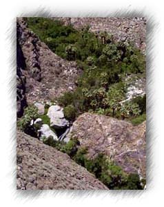 Closer look at the oasis and a water falls.