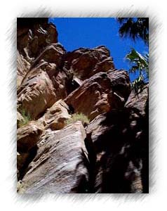 Looking up at the sky from deep in the canyon.