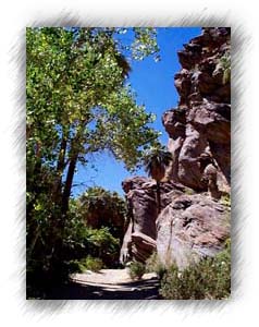 Looking into the canyon from the parking lot.